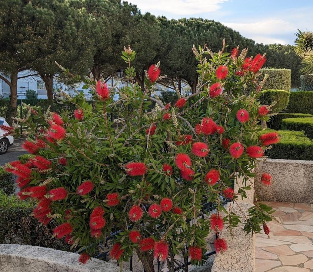 Duplex T3bis Presqu'ile De La Lagune - Piscine - & Nature Apartment Saint-Cyprien (Pyrenees-Orientales)